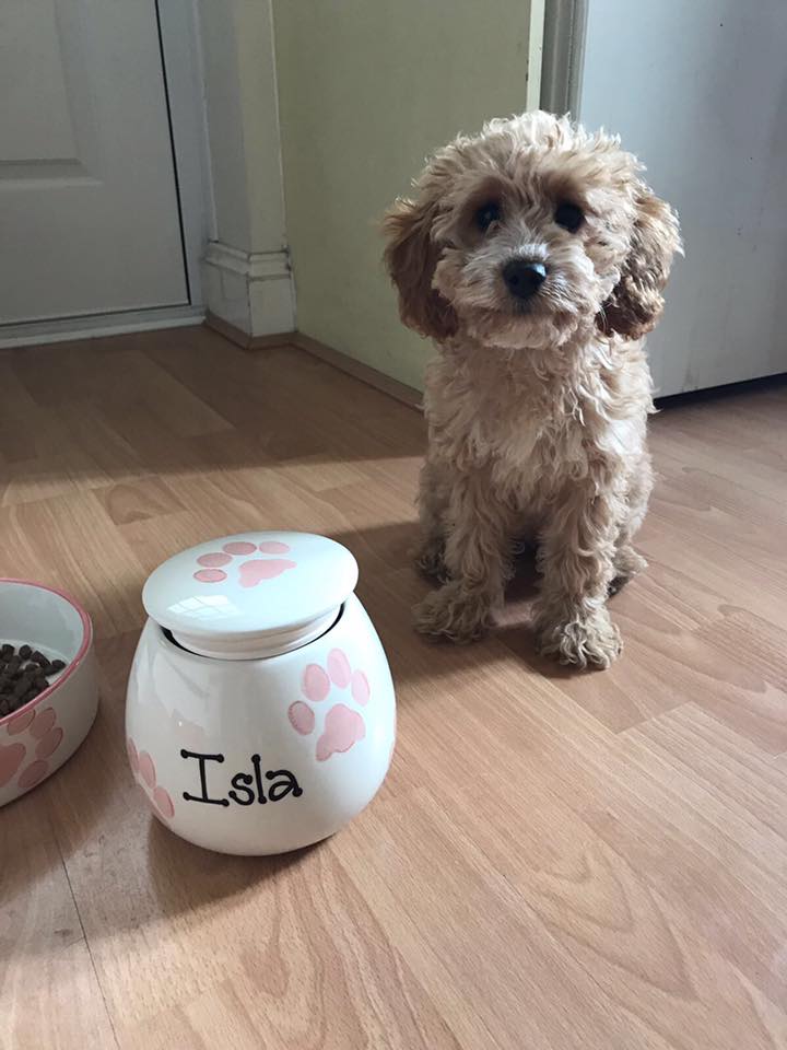 Personalised Treat Jar Paw Print Design