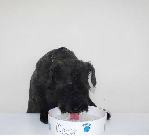 Personalised Straight sided Whimsical bowl