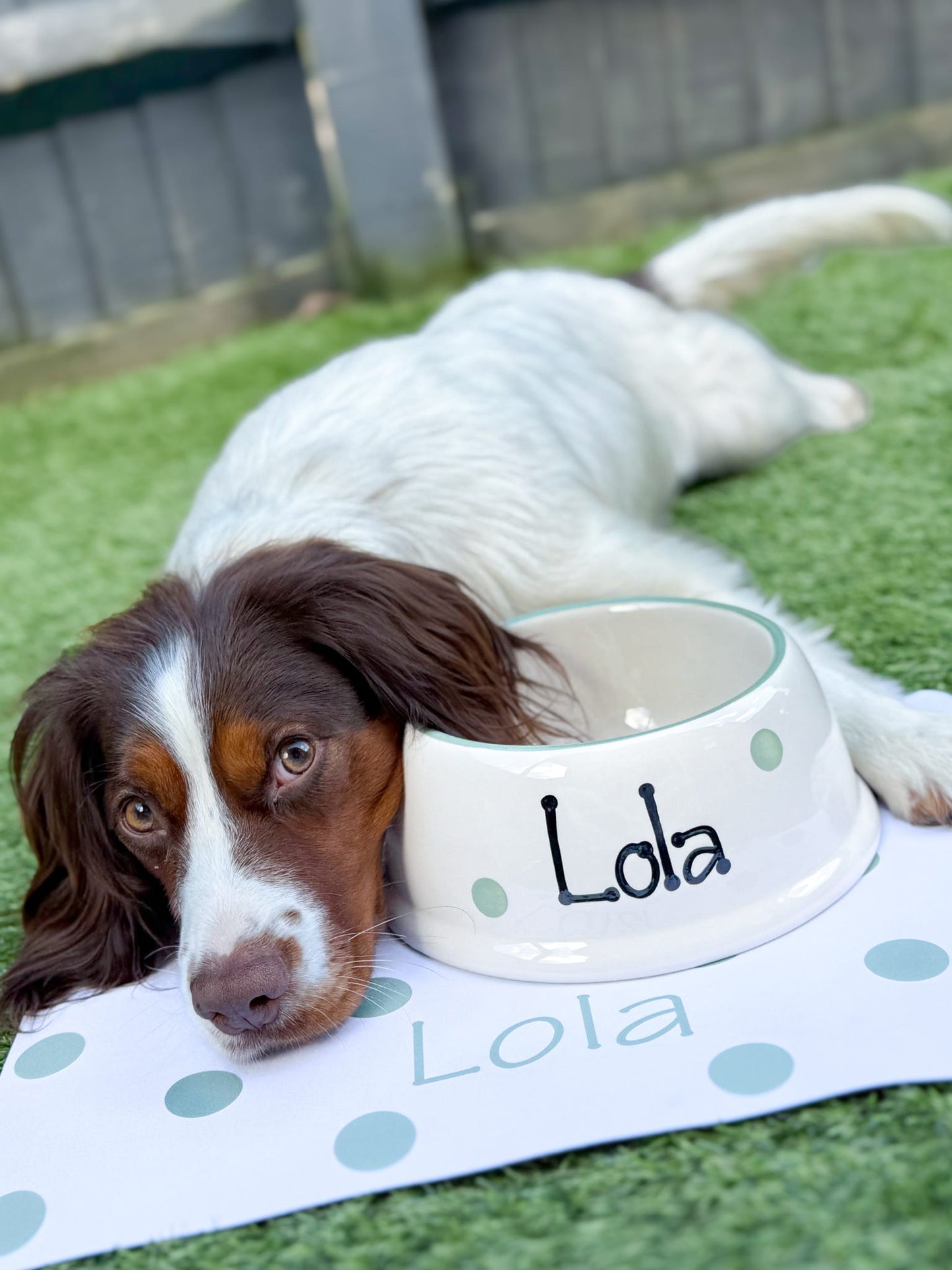 Personalised Slanted Polka Dot bowl and polka mat set