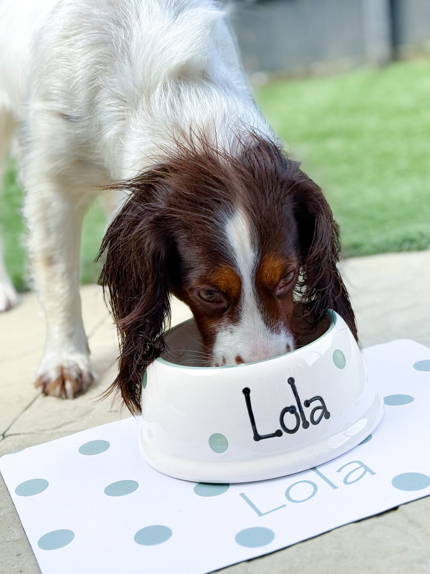 Personalised Slanted Polka Dot bowl and polka mat set