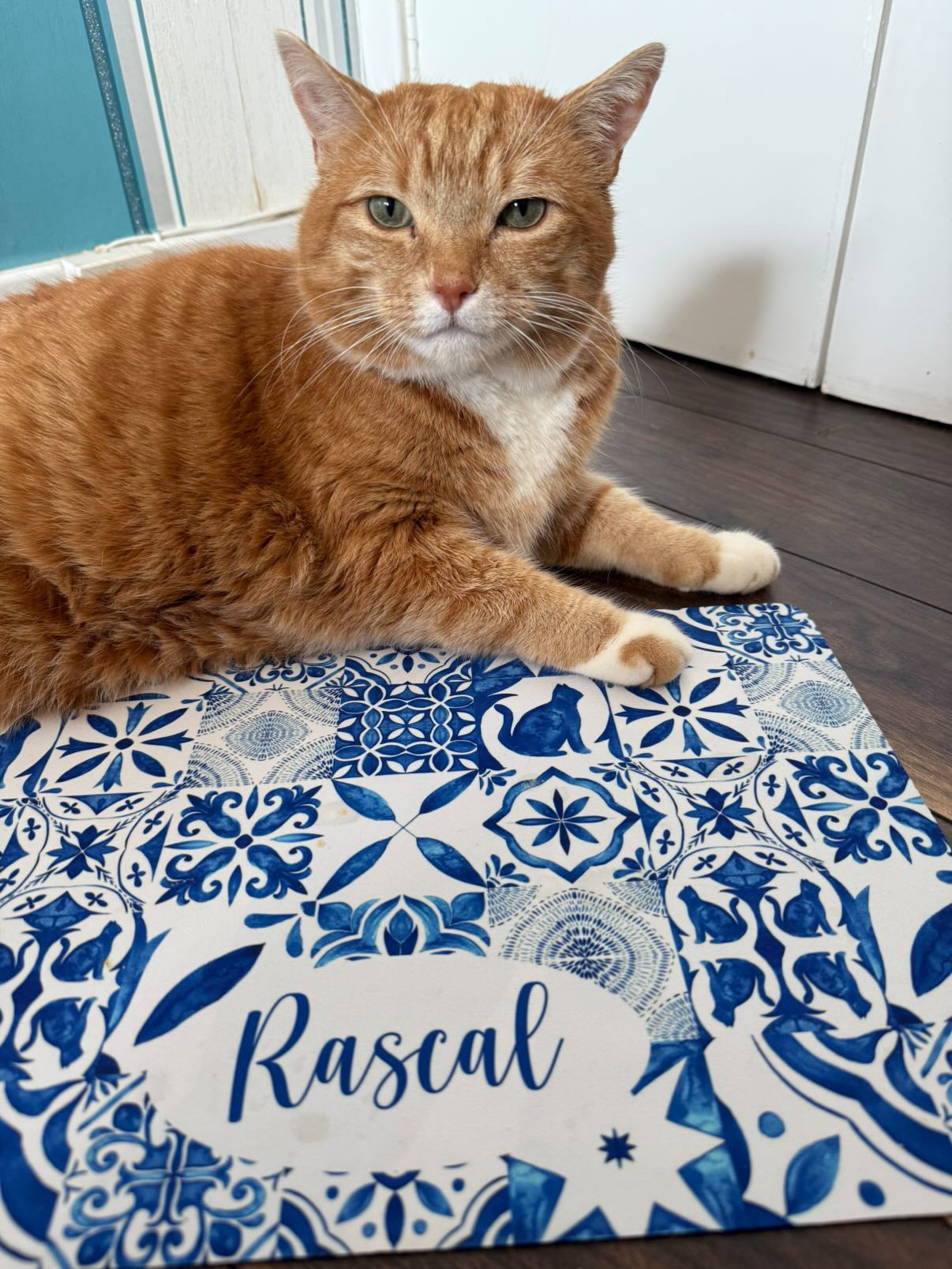 Personalised Pet Bowl Mat Mediterranean tile design
