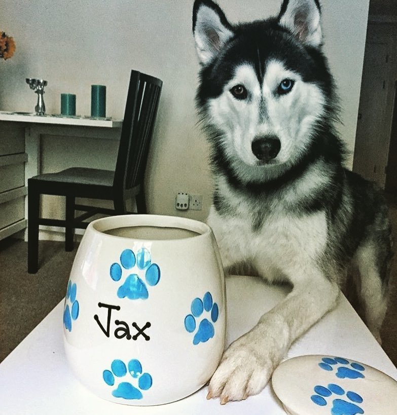 Personalised Treat Jar Paw Print Design