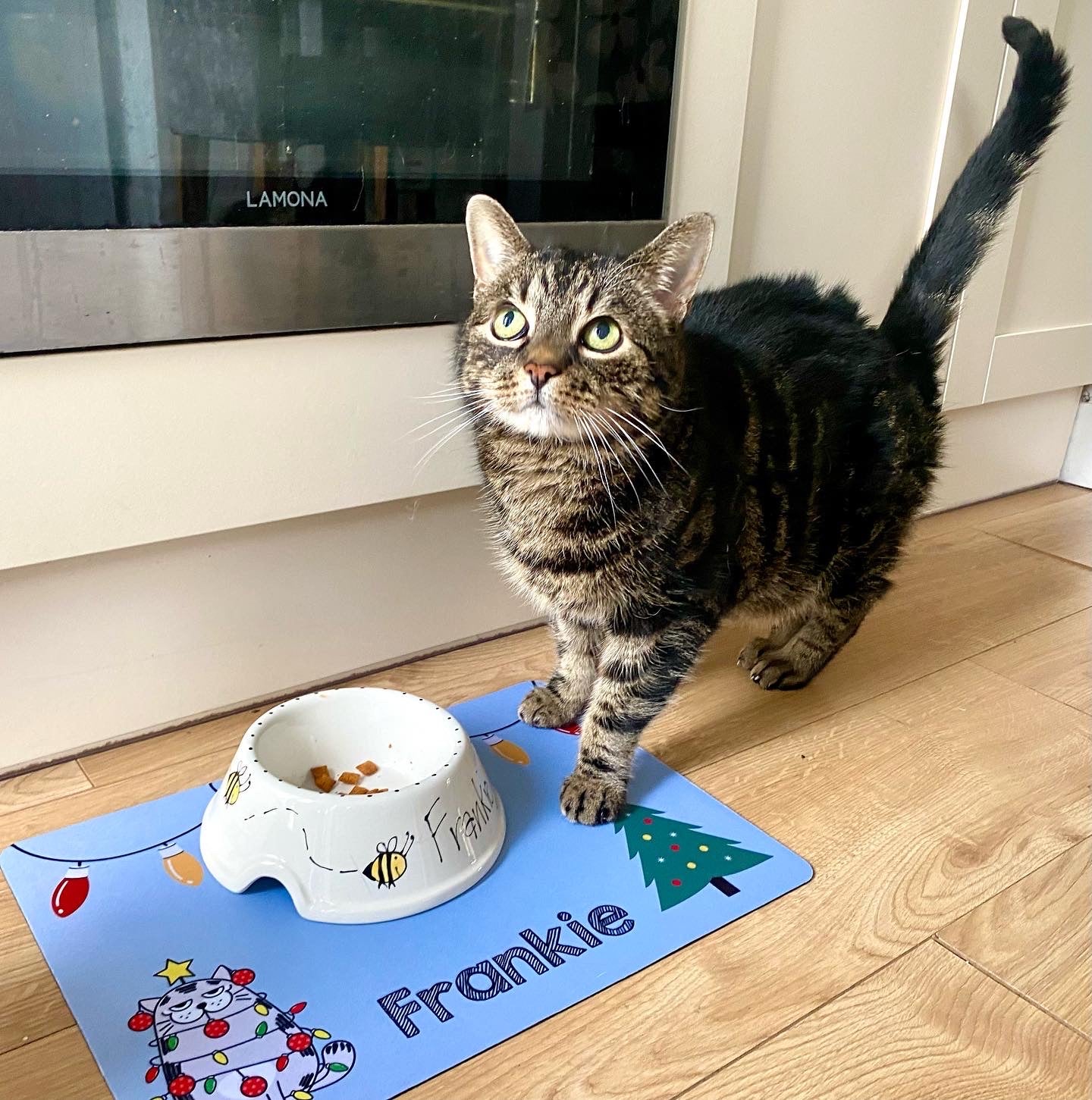 Personalised Pet Bowl Mat Christmas Cat Design