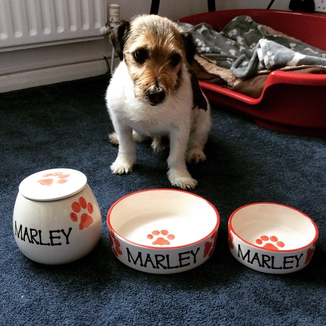 Personalised Straight sided Paw Print design Treat Jar set