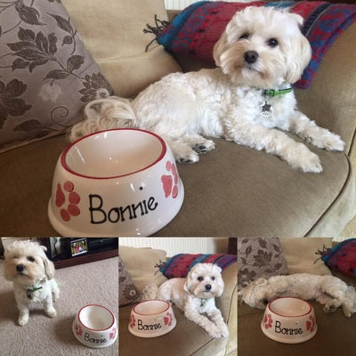 Personalised Slanted Paw Print Bowl