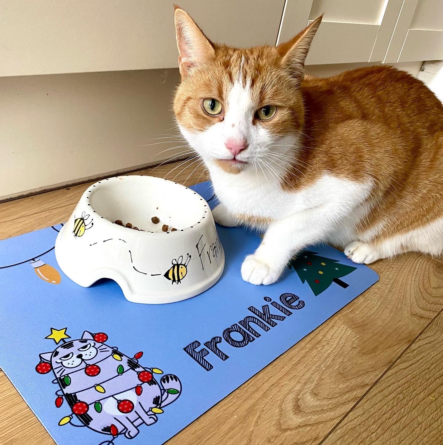 Personalised Pet Bowl Mat Christmas Cat Design