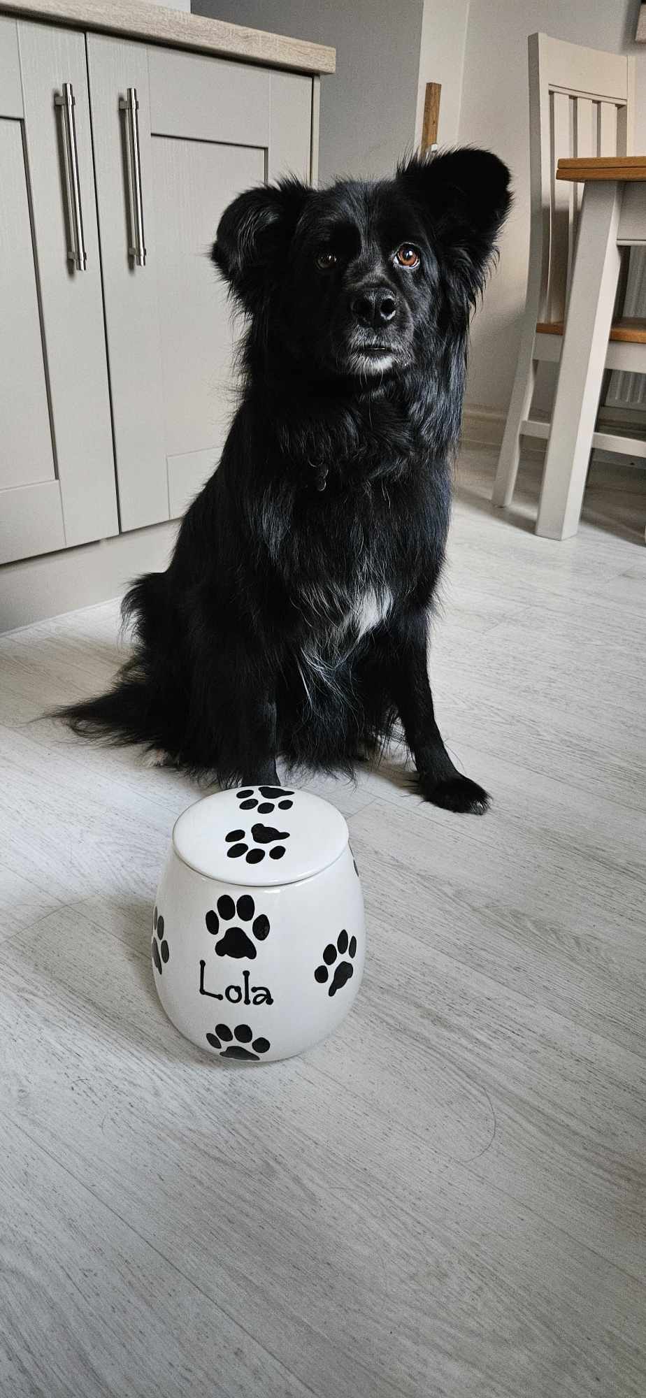 Personalised Treat Jar Paw Print Design
