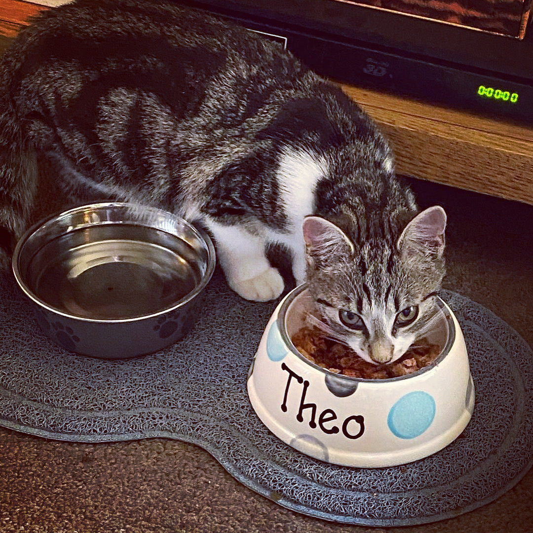 Personalised Slanted Spotty Bowl