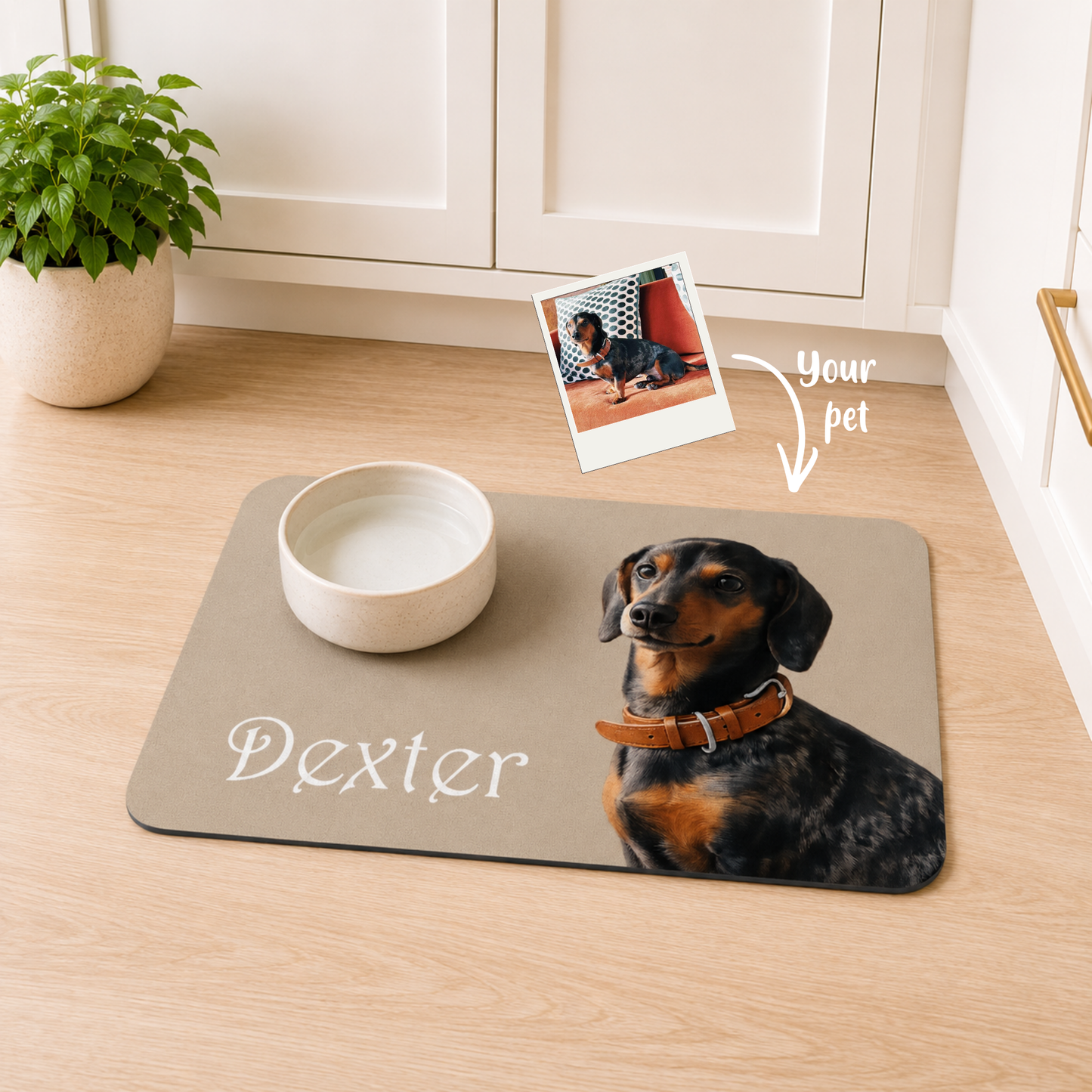 Personalised Pet Bowl Mat Portrait Design