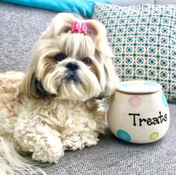 Personalised Treat Jar Spotty Design