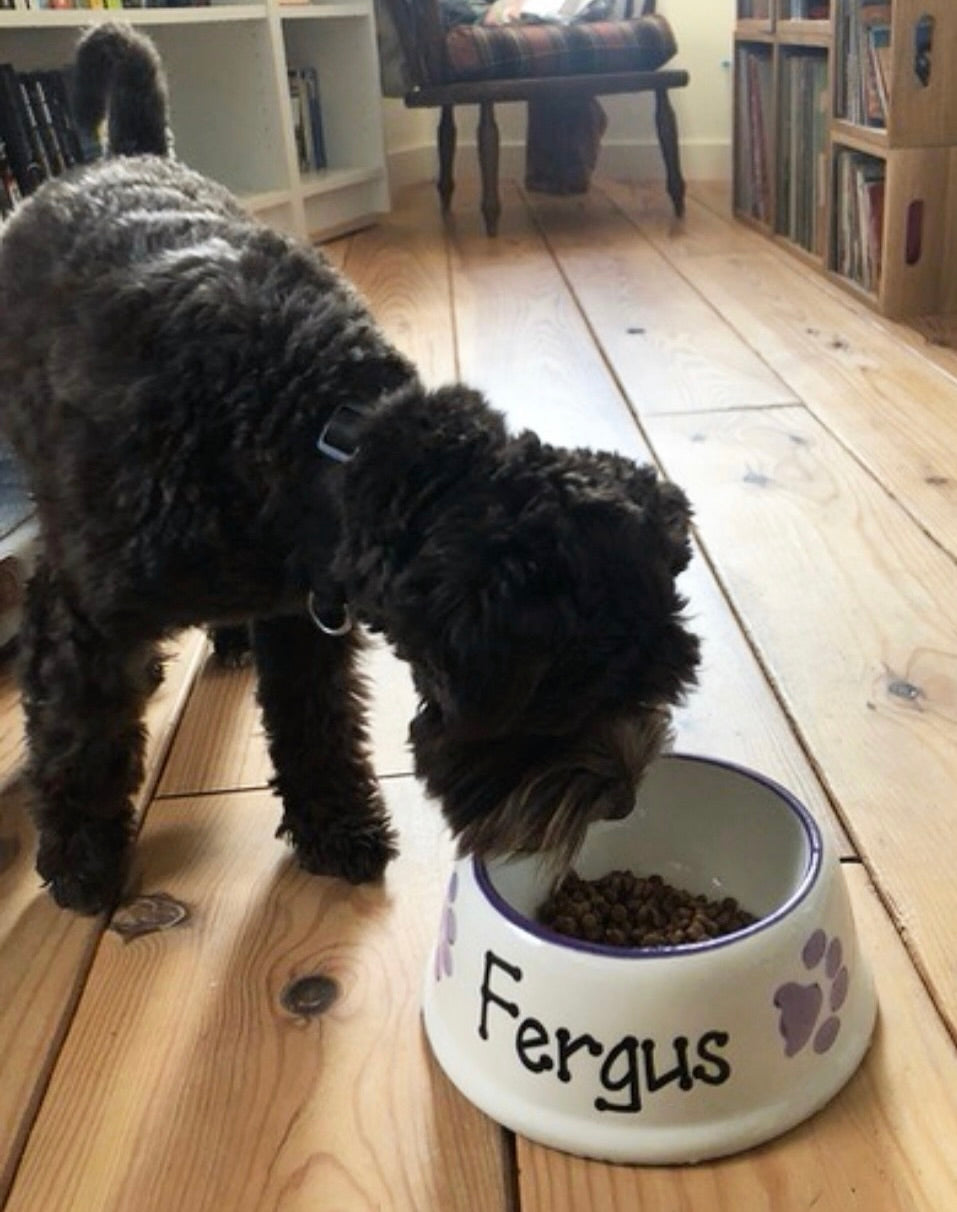 Personalised Slanted Paw Print Bowl