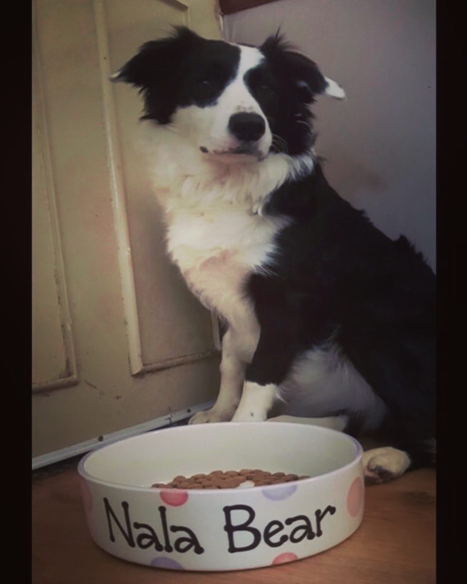 Personalised Straight Sided  Spotty Bowl