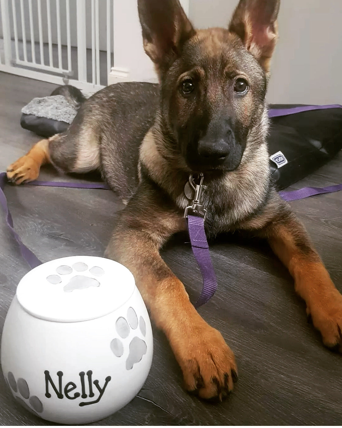 Personalised Treat Jar Paw Print Design