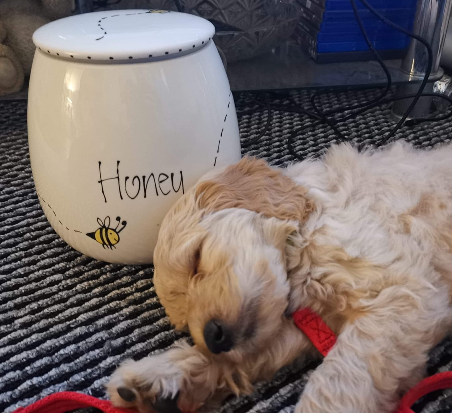 Personalised Treat Jar Bee Design