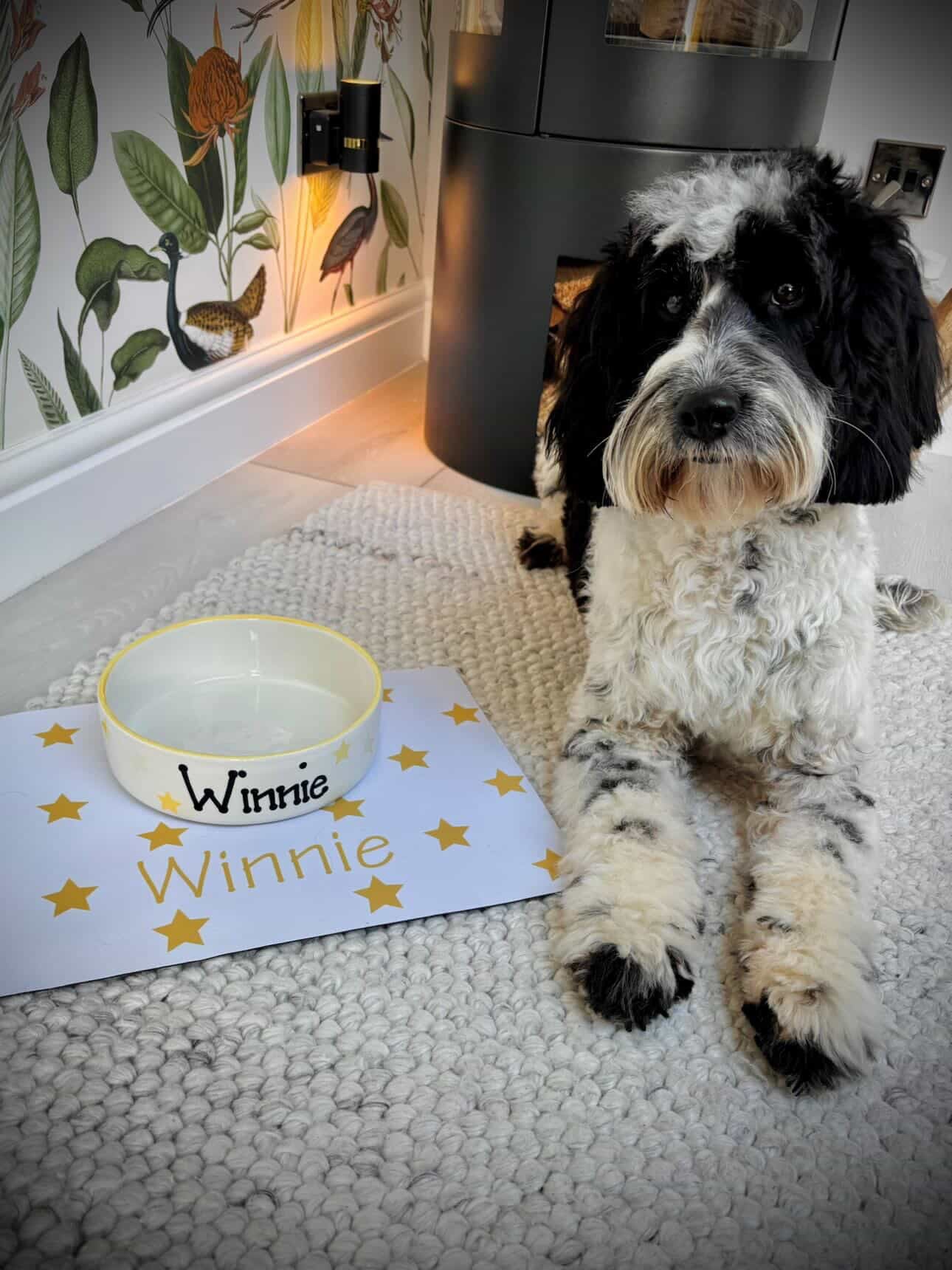 Personalised Straight Sided Polka Star bowl and mat set