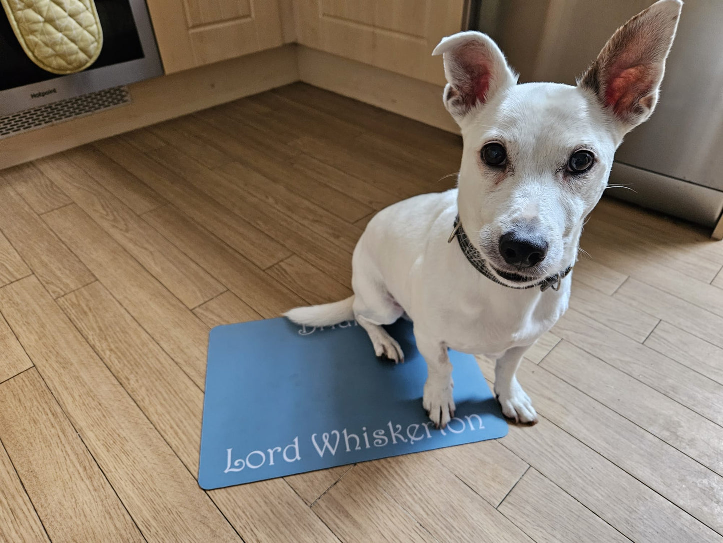 Personalised Pet Bowl Mat Flat Colour Design