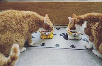 Personalised Cat Leg Bowl Likeness Design