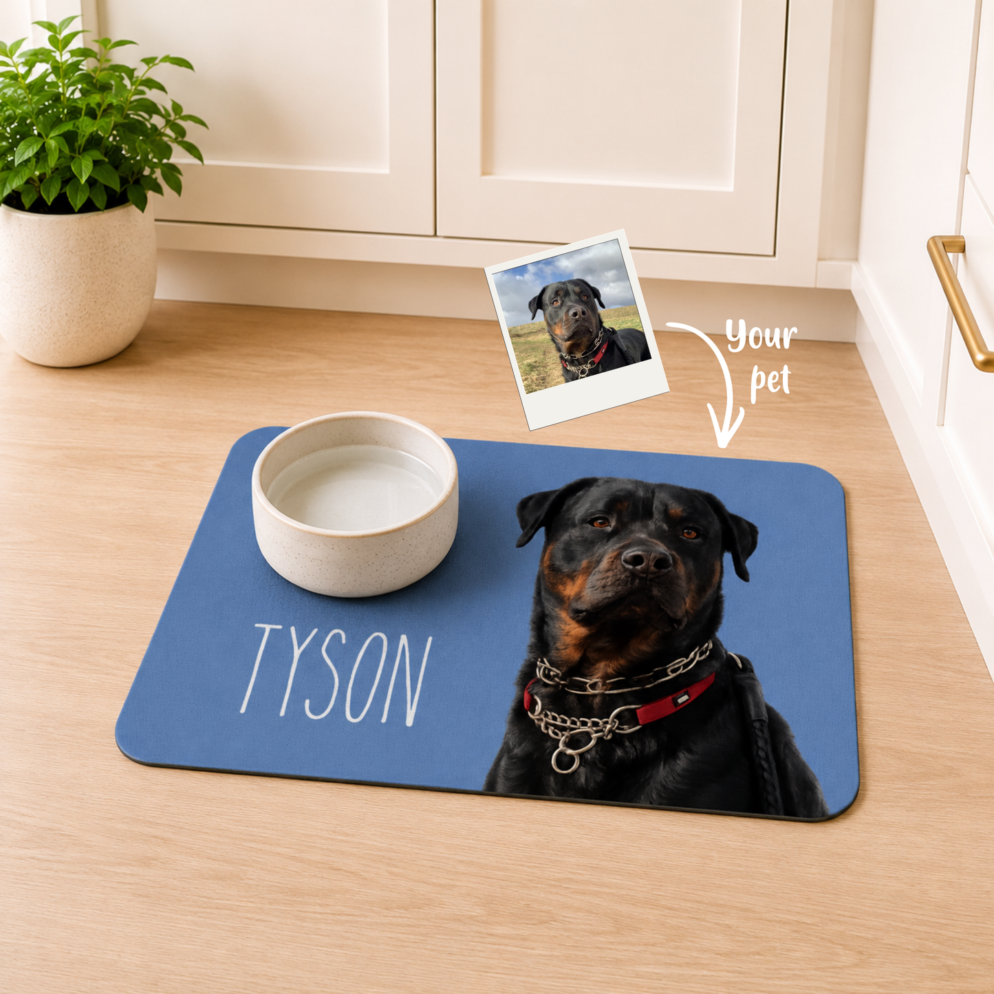 Personalised Pet Bowl Mat Portrait Design