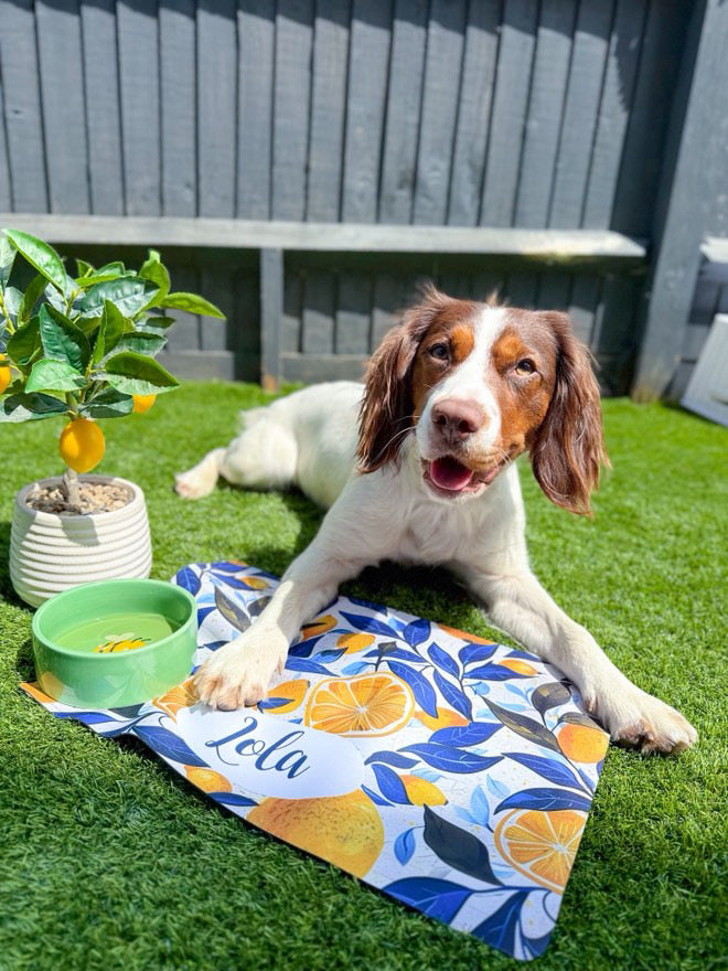 Personalised Pet Bowl Mat Amalfi Coast Inspired