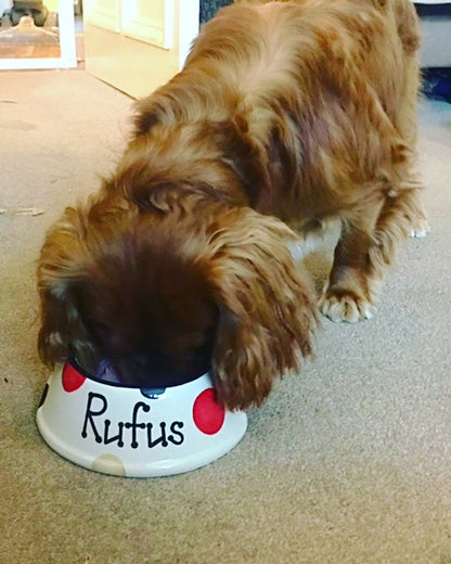 Personalised Slanted Spotty Bowl