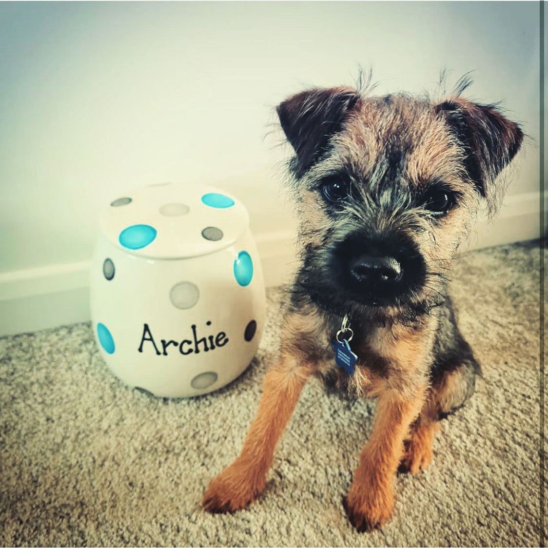 Personalised Treat Jar Spotty Design