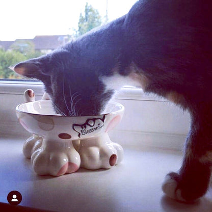 Personalised Cat Leg Bowl Spotty Design