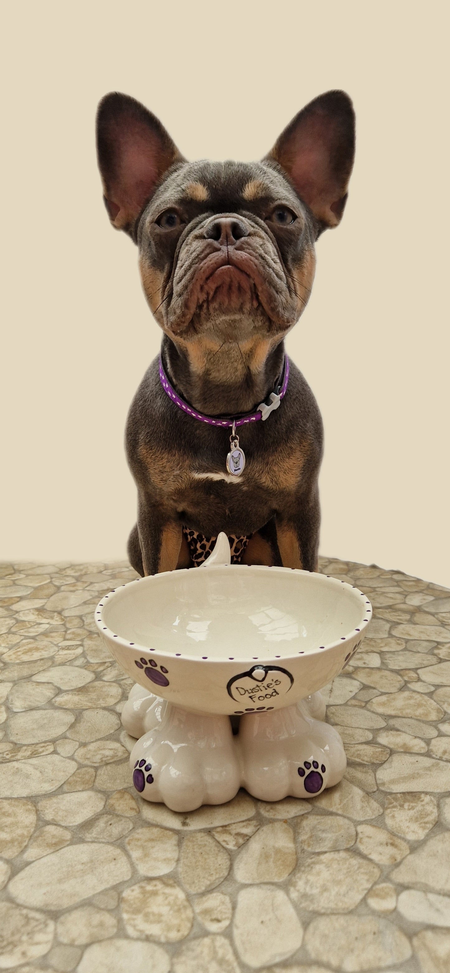 Personalised Dog Leg Bowl Whimsical Design