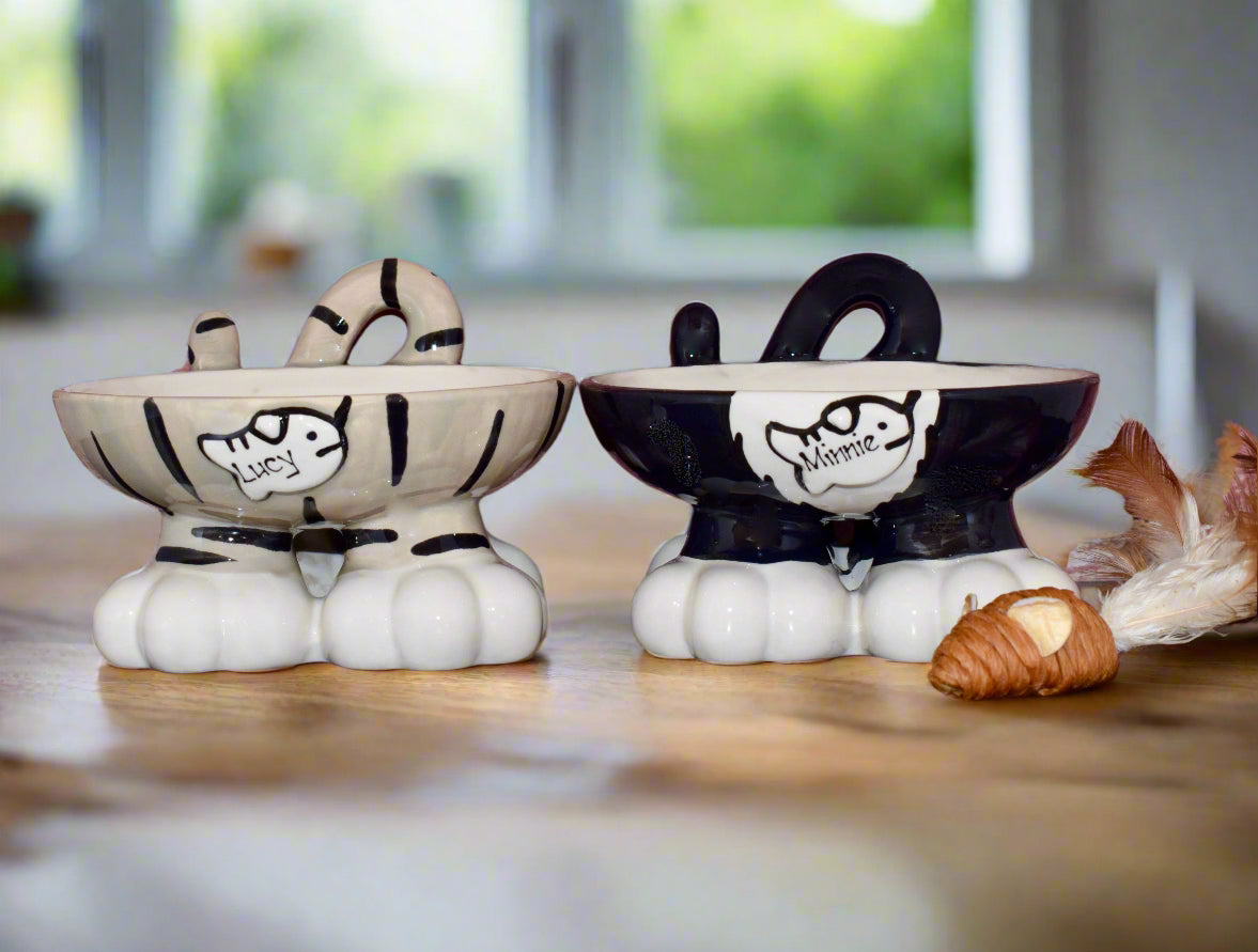 Personalised Cat Leg Bowl Likeness Design