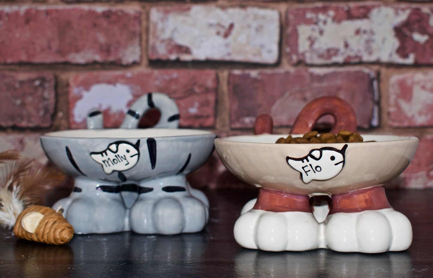 Personalised Cat Leg Bowl Likeness Design