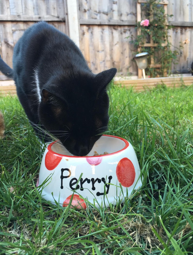 Personalised Slanted Spotty Bowl