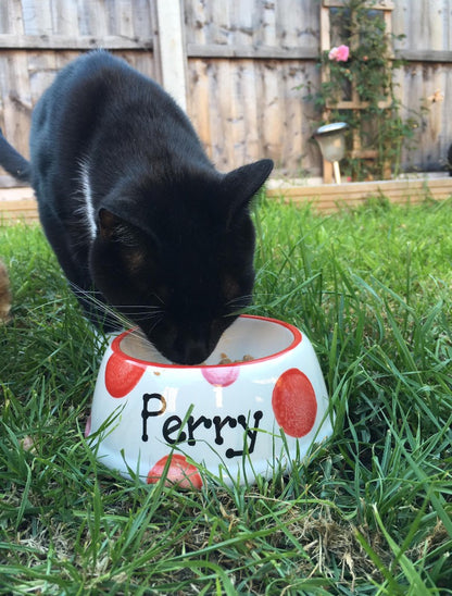 Personalised Slanted Spotty Bowl