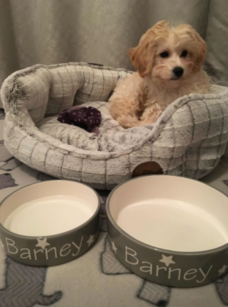 Personalised Straight sided Polka design 2 bowl set