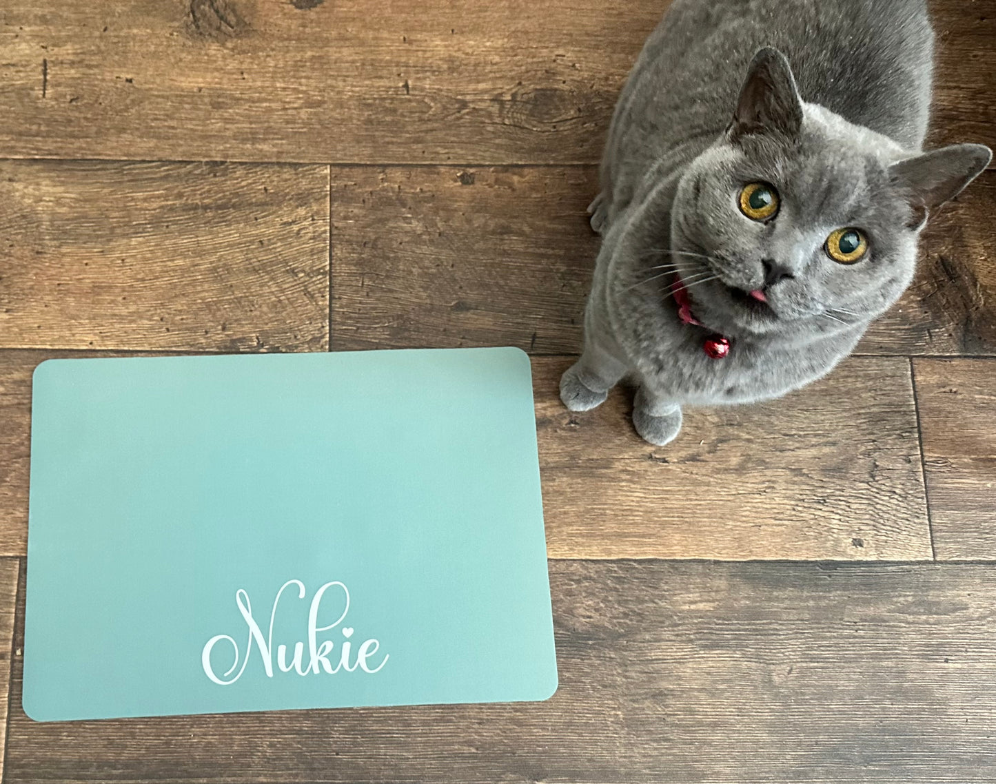 Personalised Pet Bowl Mat Flat Colour Design
