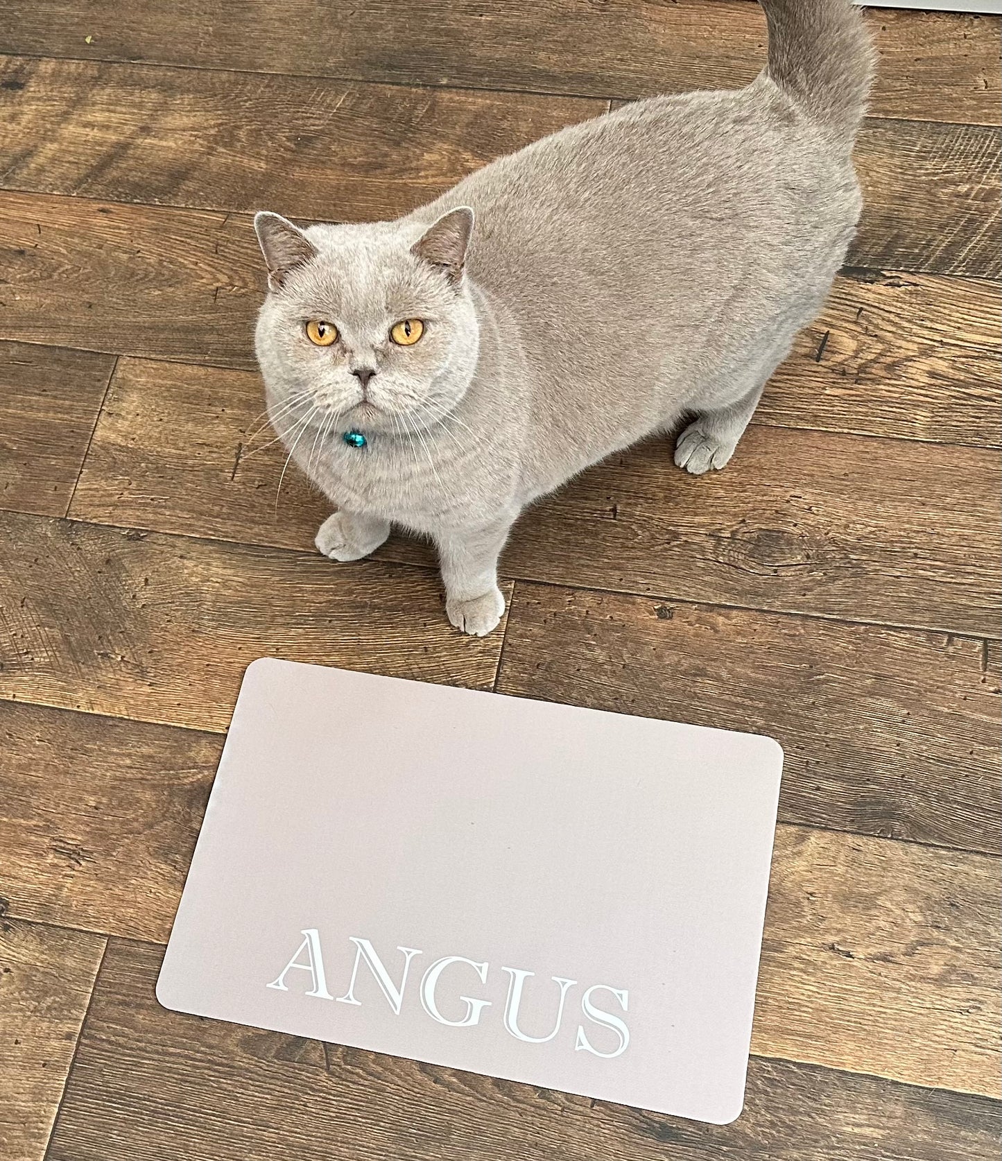 Personalised Pet Bowl Mat Flat Colour Design