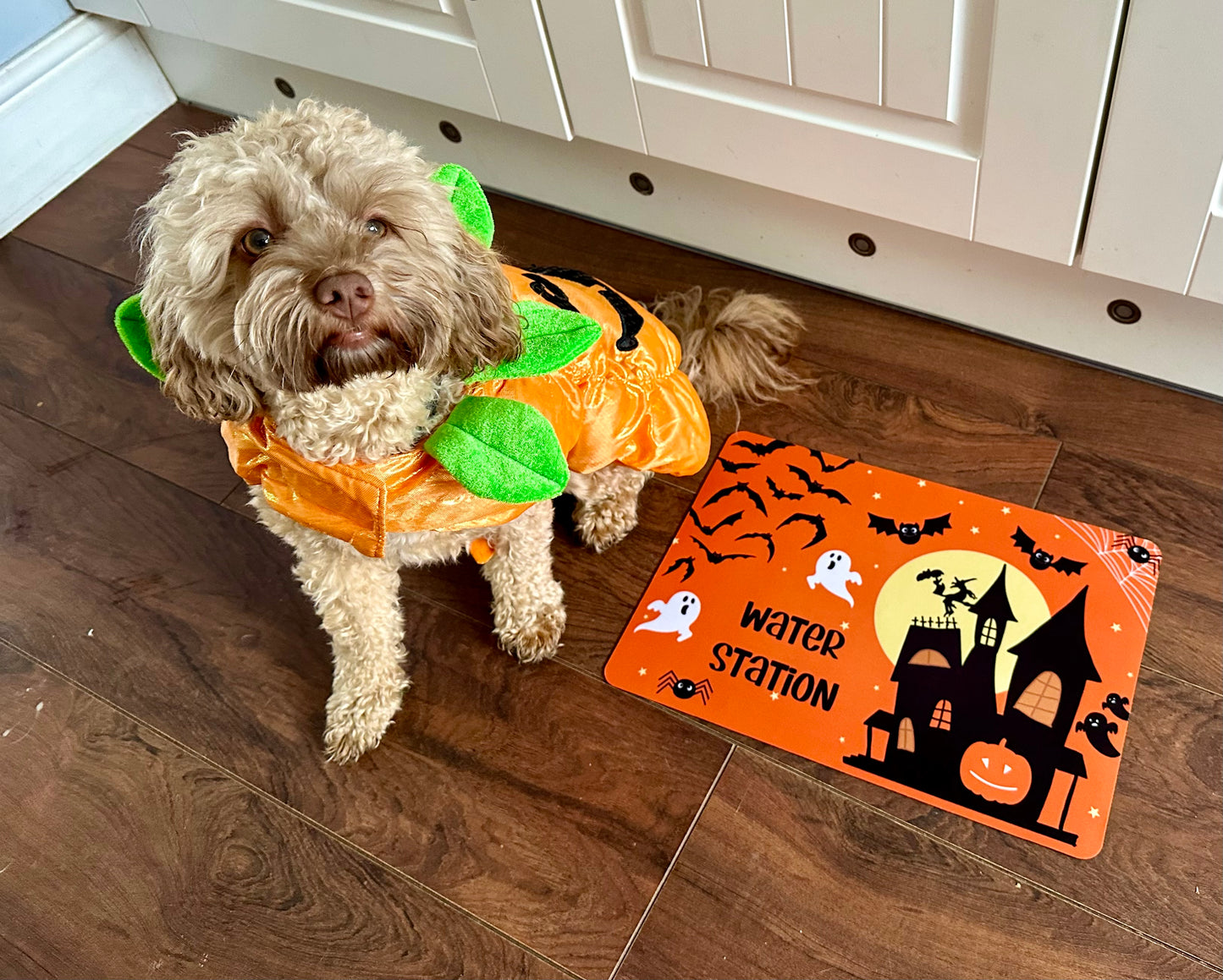 Personalised Pet Bowl Mat Halloween Design