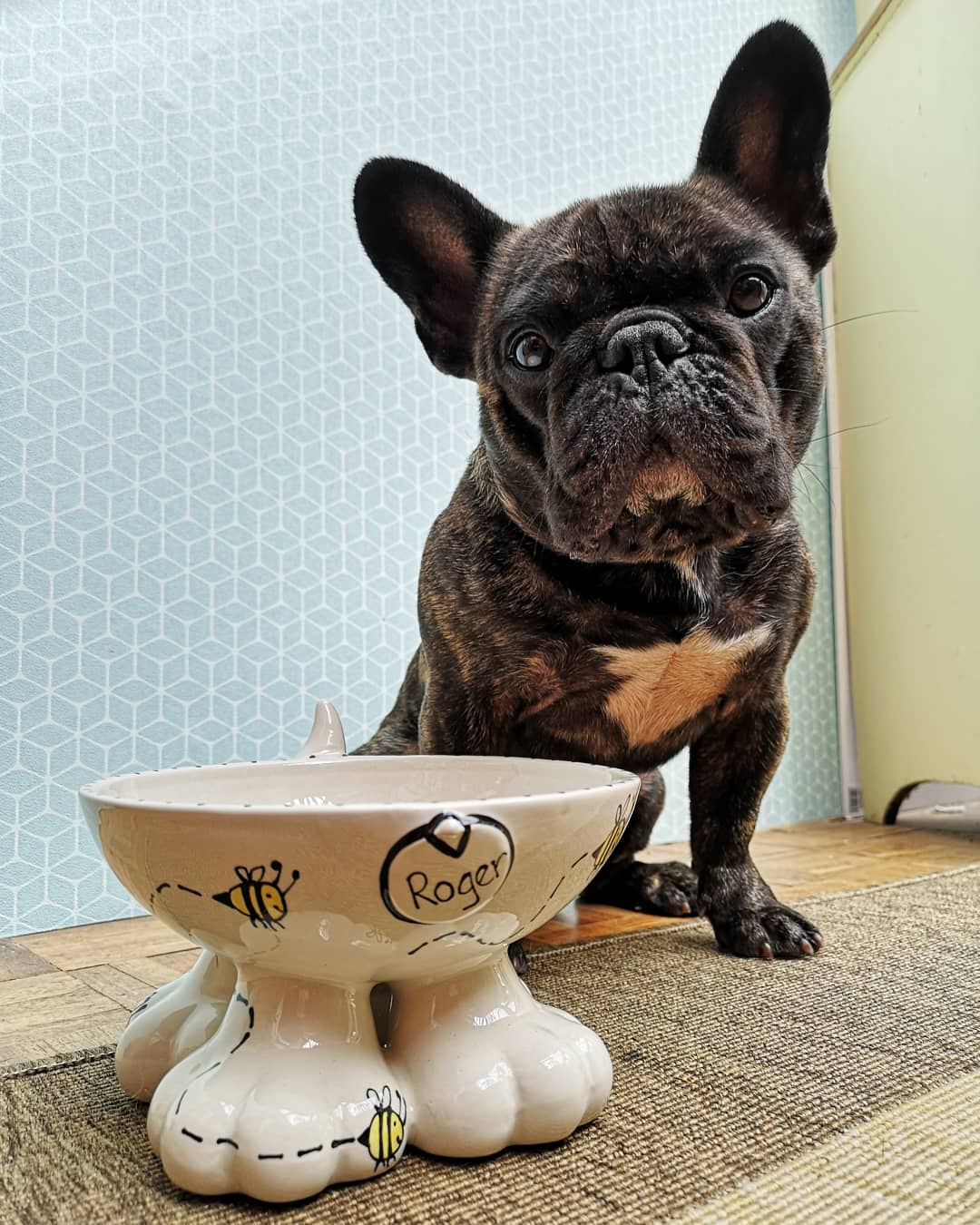Personalised Dog Leg Bowl Bee Design