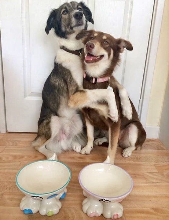 Personalised Dog Leg Bowl Spotty Design