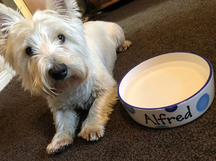 Personalised Straight Sided  Spotty Bowl