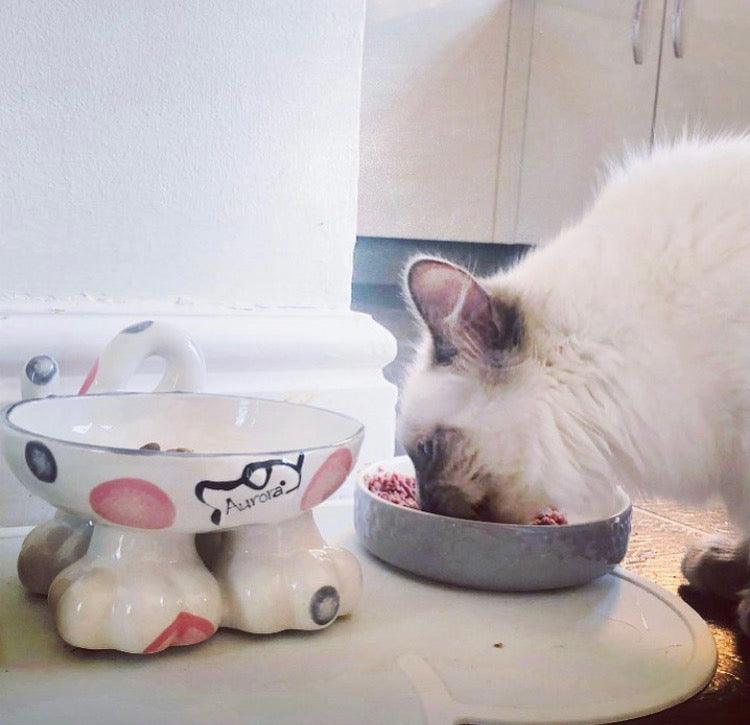 Personalised Cat Leg Bowl Spotty Design