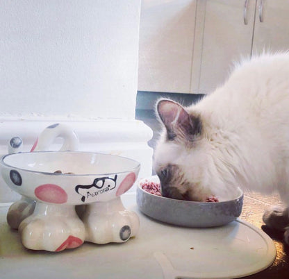 Personalised Cat Leg Bowl Spotty Design