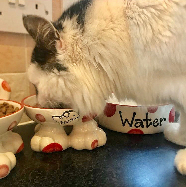 Personalised Cat Leg Bowl Spotty Design