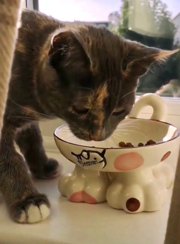 Personalised Cat Leg Bowl Spotty Design