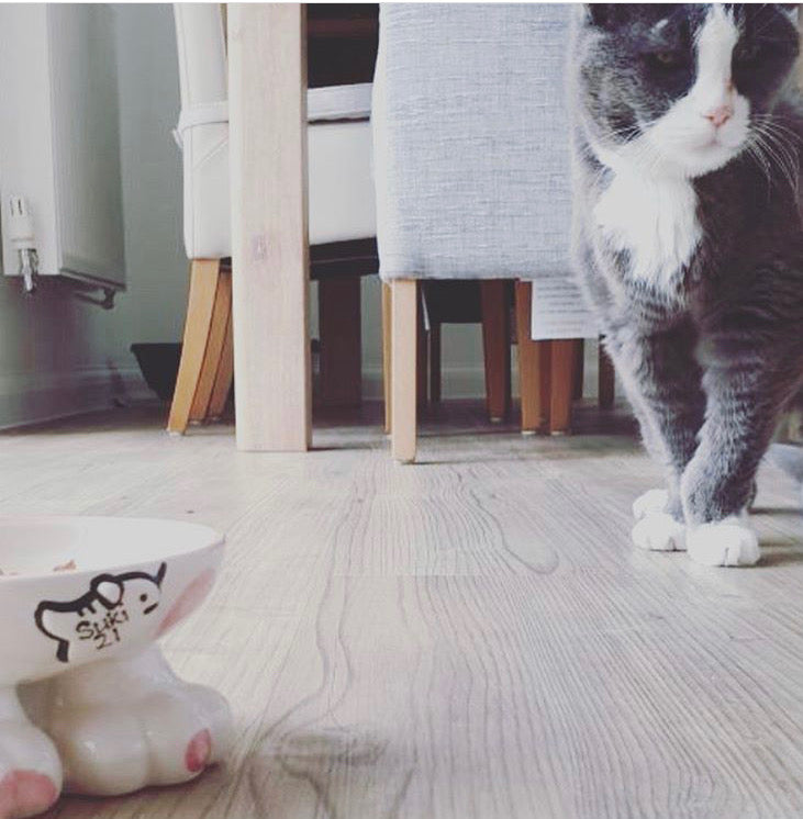 Personalised Cat Leg Bowl Spotty Design