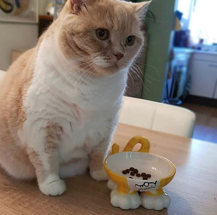 Personalised Cat Leg Bowl Likeness Design