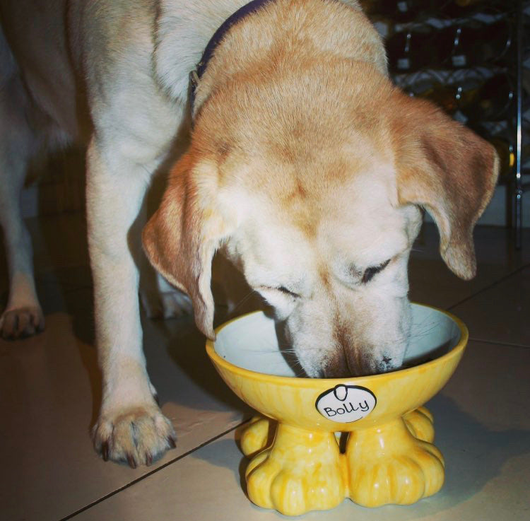 Personalised Dog Leg Bowl Flat Colour Design