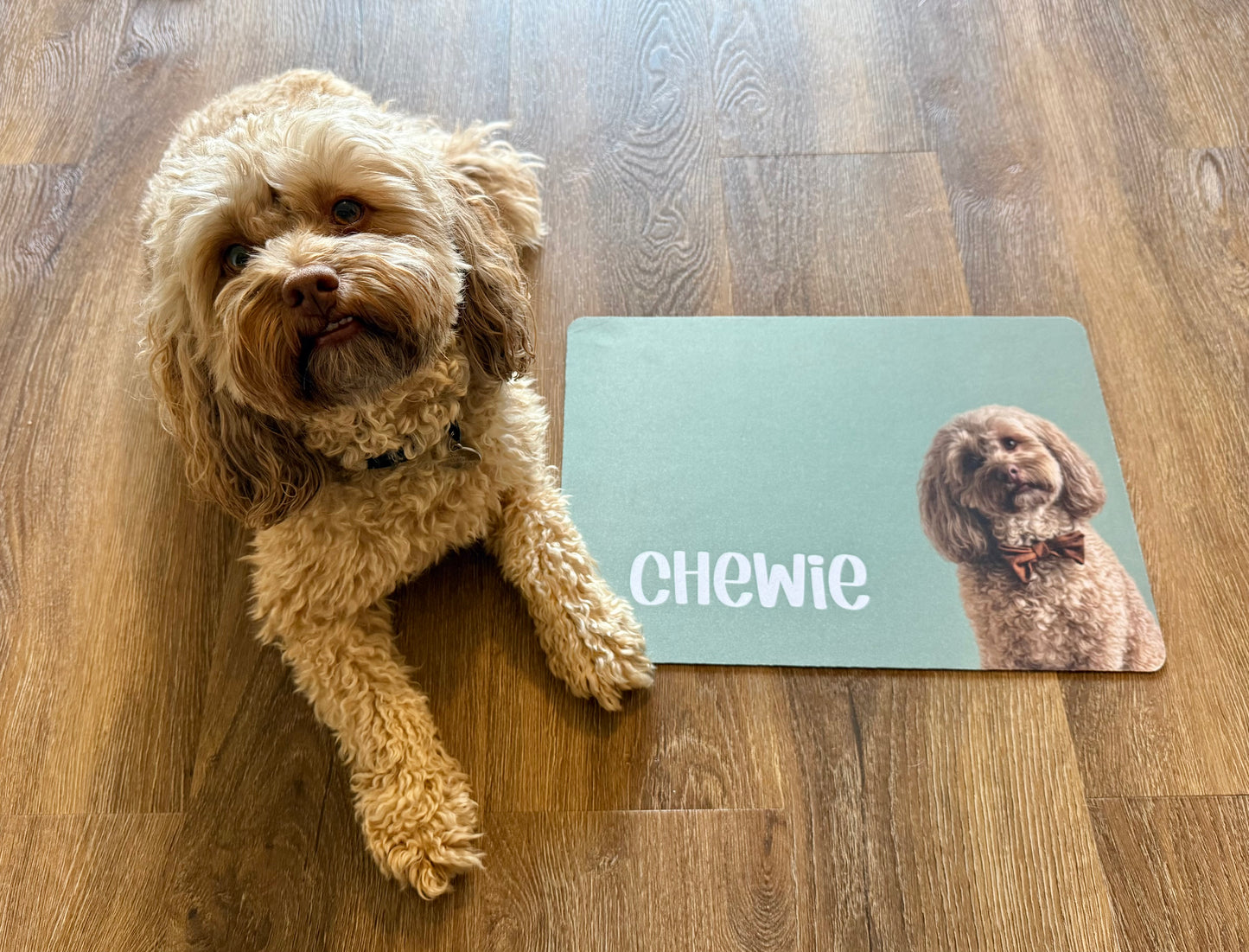 Personalised Pet Bowl Mat Portrait Design