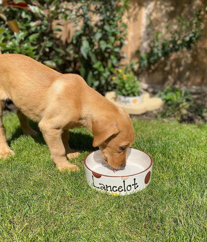 Personalised Straight Sided  Spotty Bowl