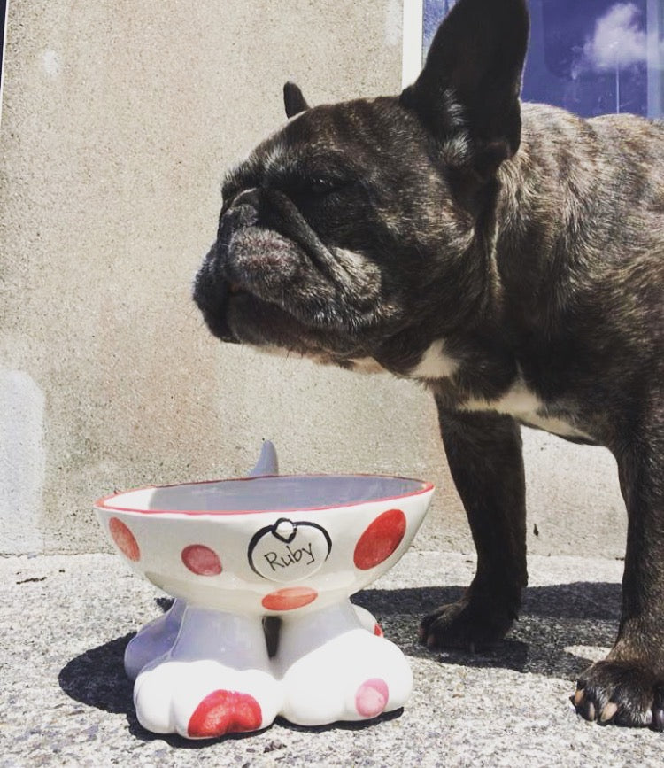 Personalised Dog Leg Bowl Spotty Design