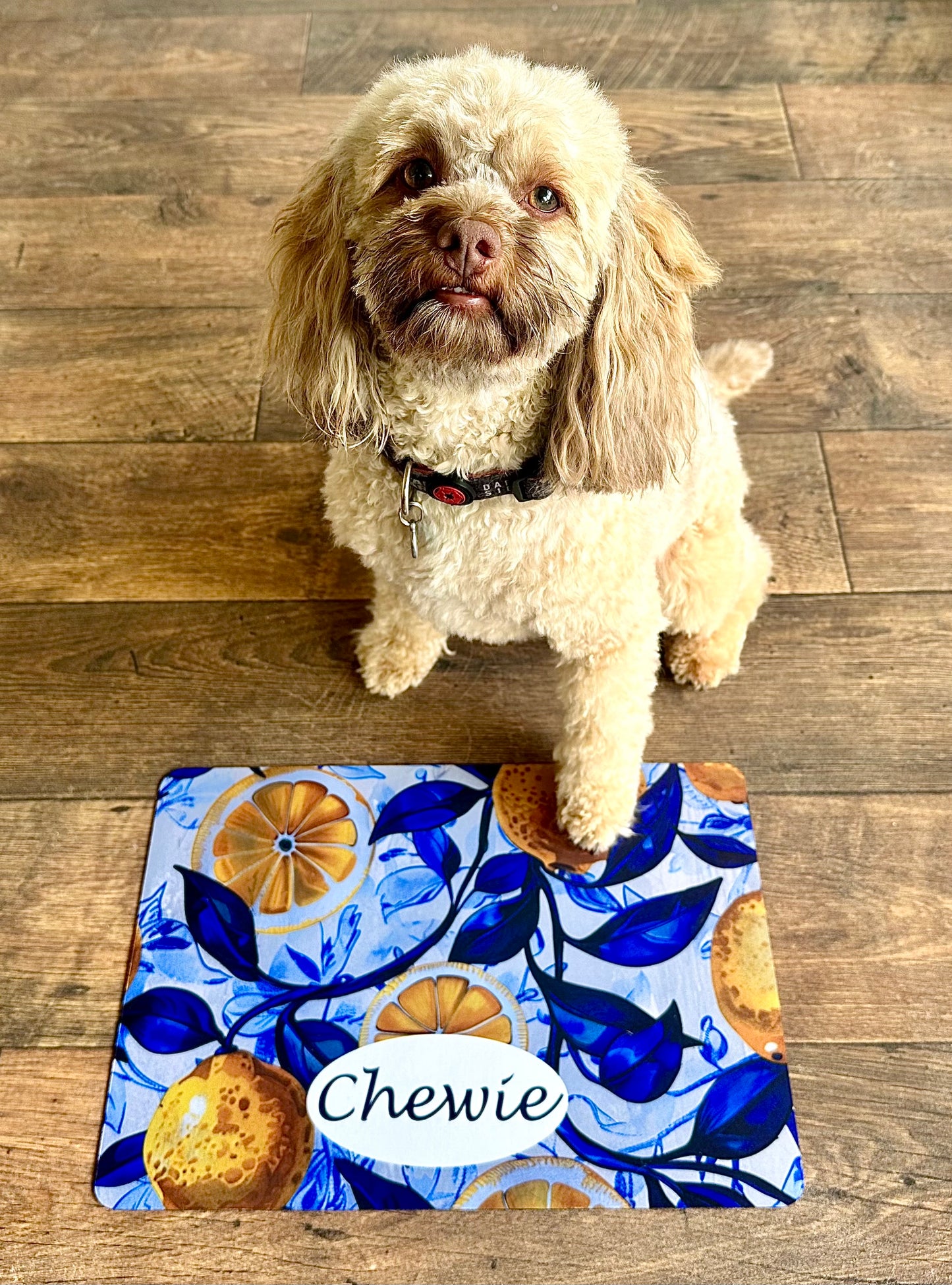 Personalised Pet Bowl Mat Amalfi Coast Inspired