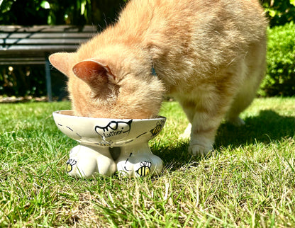 Personalised Cat Leg Bowl Bee Design